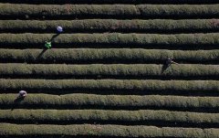 ����ũ��æ