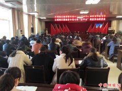 ���գ��ų����ٿ�ɨ�ڳ���ר�������ƽ���������ƽ���