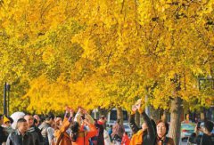 �ɶ���������·����������