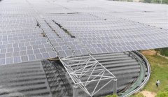 ����ʯʨ����ˮ���ϼܹ��