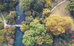 ���ݣ�������� ������ζ