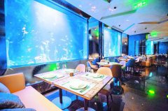 ����ӾƵꡱ�û����˰̱�羰