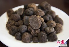 �Ĵ��ᶫ����¶��������ʱ Ʒ������Ƶ�����