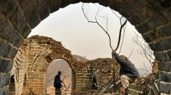 ���������ų���