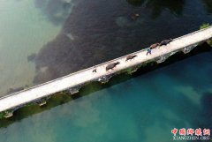 ��������������������续