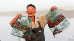 ��������ũҵ������ĸ���ϲ����� ��þ�����