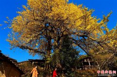 �������� ���־�Ⱦ