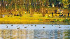 ������Ϣ˫���