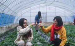 ��̬ũҵ����ӭ�����ռ�