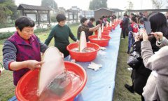 ����ͩ�磺�������������