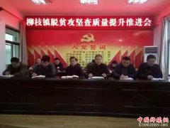 ��������֦���ٿ���ƶ��������������ƽ���