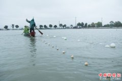 �㽭���ߣ���ɫ��̬��ֳ�ƶ�������֮�硱��ҵ����