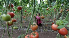 ɽ�����ʣ����մ�������æ