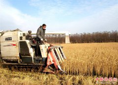 ɽ��۰�ǣ� ��ʥ��22���ո� һ��������