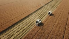 �����յ�æ