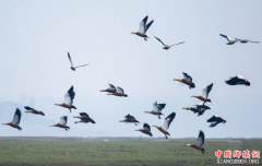 ����۶������ʪ�سɺ�����԰