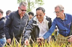 ��չ���������п�Ϊ