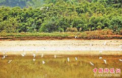 ɽ��ˮ�� �������