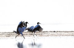 ����������������