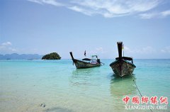 ���ǩ֤�����¶��� ��׼����������