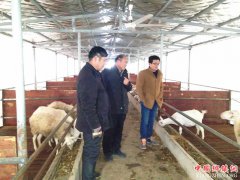 ���գ��ų����ί������Ⱦ��������