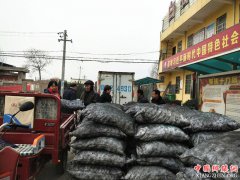 �����������򣺶���������ů �� ƶ��Ⱥ��Ц����