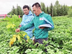 ������֤���������й����ӡ�����