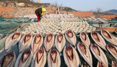 ����ɹ��æ