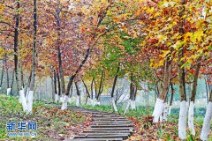 ����ɽ���͡��ﾰ��