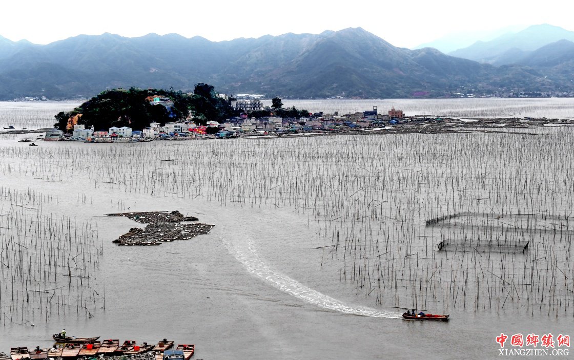 三农天地 返回首页 严冬时节也是福建省霞浦县沙江镇竹江村