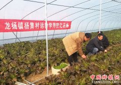 ����ʡ�������ؿ������Ӵ�Զ��ѧ��ת���ɹ�