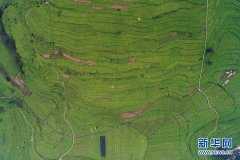 ����ե�ˣ���һ��С�ˡ���120������