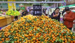 2018��ȫ���������Ѽ۸�ͬ������2.1%