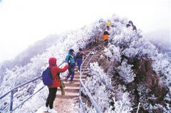 ������������棺���ſڿ�ѩ Ѱ��ʳ��ζ