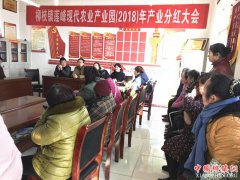 ��������֦���ҵ��ƶ�ֺ����ڽ���