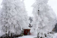 ����ߺ������򽵴�ѩ ��װ�ع���ɫ������