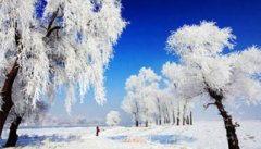 ���ּӴ���Ž������� �����ѩ���ν�����Ƭ