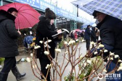 ������ɽ������ũ�´����缯