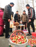 ɽ��۰�ǣ� ��ݮ���������ũ����ɫ