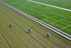 ���ش��ũ��æ