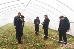 ������������������ѻ���һ����Ϊ����ɲ������������������