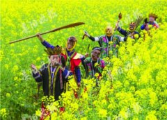 ���ݵ�һ���Ͳ˻�������