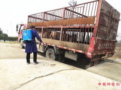 �����������������չ�����������ع���