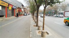 ��������ζ�������� ���������������ʷ