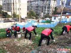 ���գ��尲�������򻷾�����ר���������ȳ�