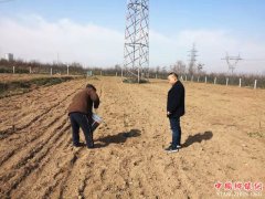 �����������򣺵�һ�������ͷæָ��   ƶ��Ⱥ�ڻ�����ҵ԰��æ����