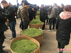 �ɶ�ɽ����Ե���Ǽ۲�����