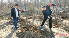 ����һ����   ����һĨ��   �ջ�����ϣ��