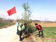 ���������򣺿�չ��ʱ������ʵ����ֲ�����̡�����