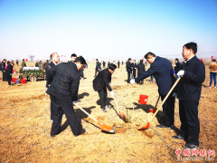 ����ʯ�������ջ��Ҹ���